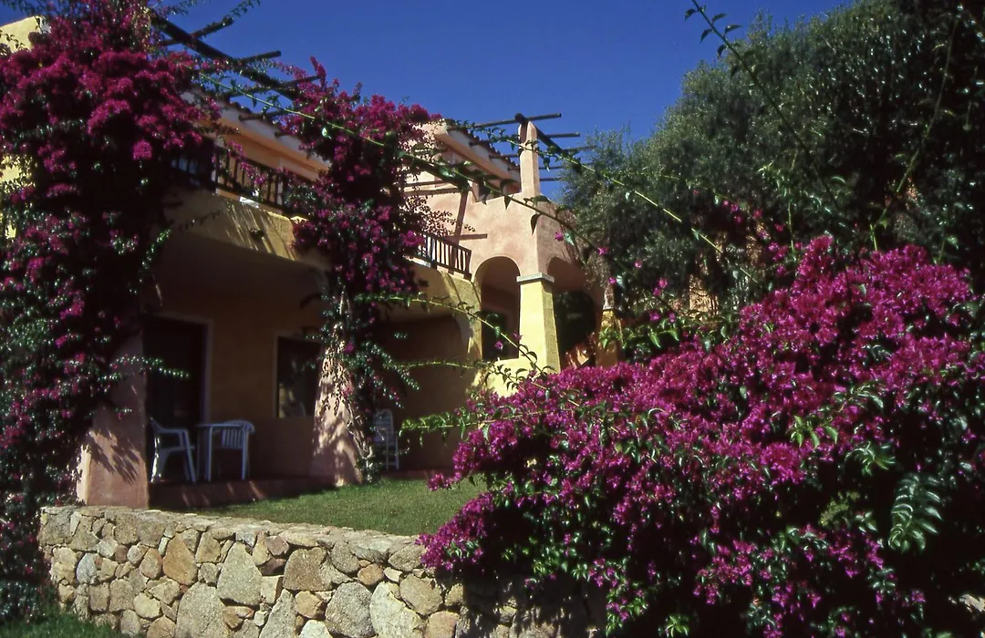 Hotel Stelle Marine-1